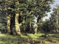 Ivan Shishkin - Oak of the Forest